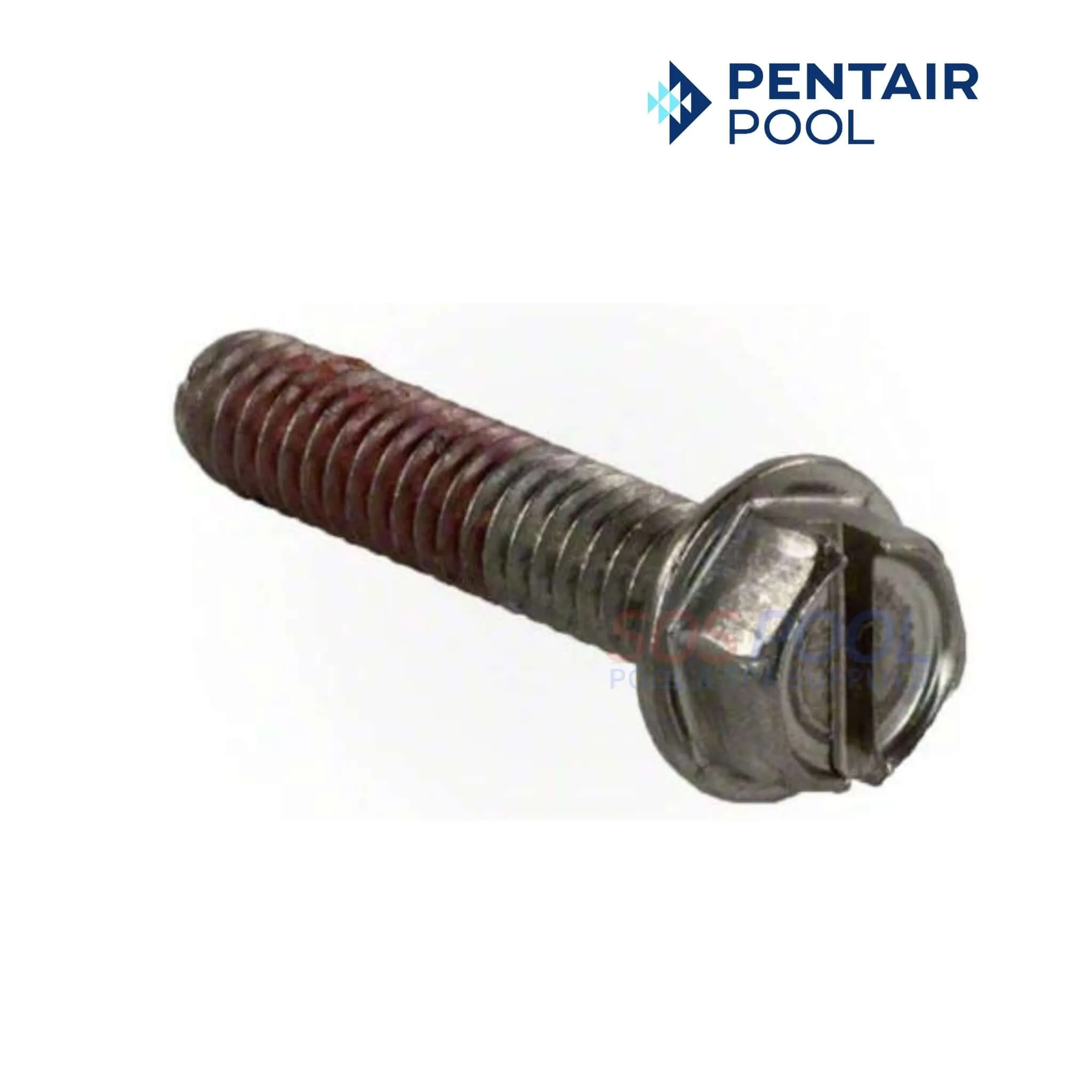 Pentair Impeller Locking Screw For SuperMax and SuperFlo Pumps | 355389